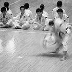 martial_arts_and_business